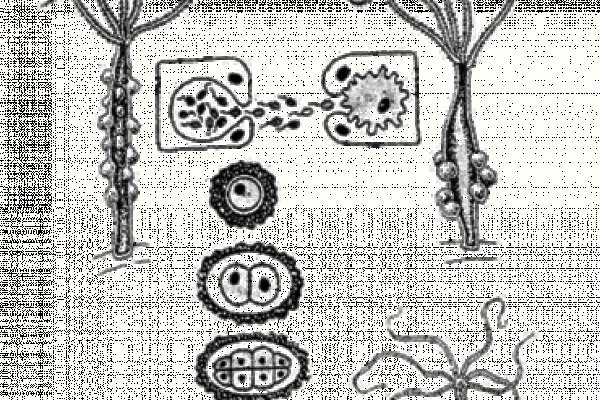 Регистрация на кракен