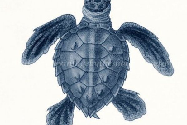 Tor kraken маркет